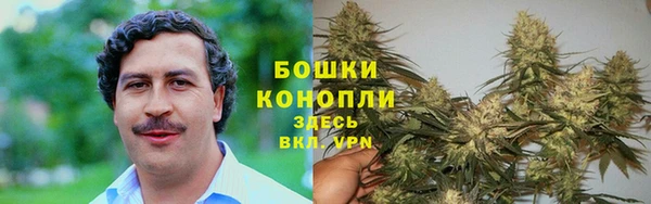 соль ск Липки