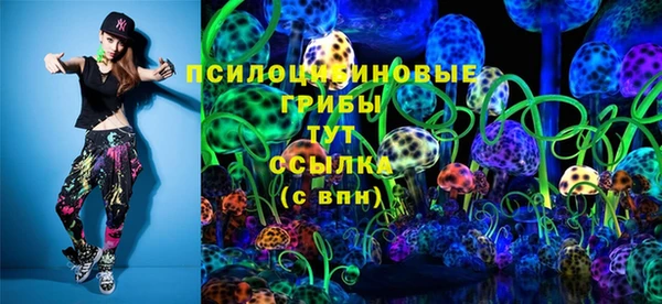 соль ск Липки