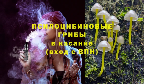 соль ск Липки