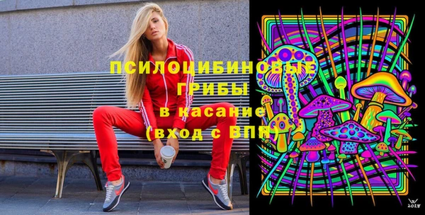a pvp Лиски