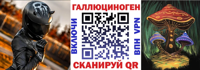 Купить где  Сорск  Галлюциногенные грибы Psilocybe 